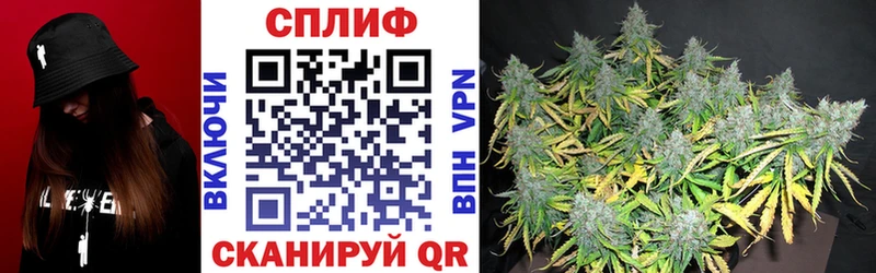 Какие есть наркотики Лесной APVP  Кокаин  ГАШИШ  МЕФ  Канабис 