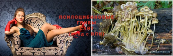 кокаин Пересвет